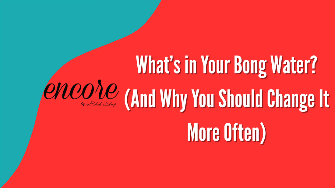 What’s in Your Bong Water? (And Why You Should Change It More Often)