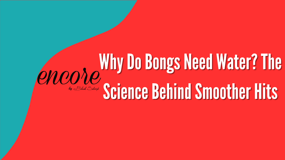 Why Do Bongs Need Water? The Science Behind Smoother Hits