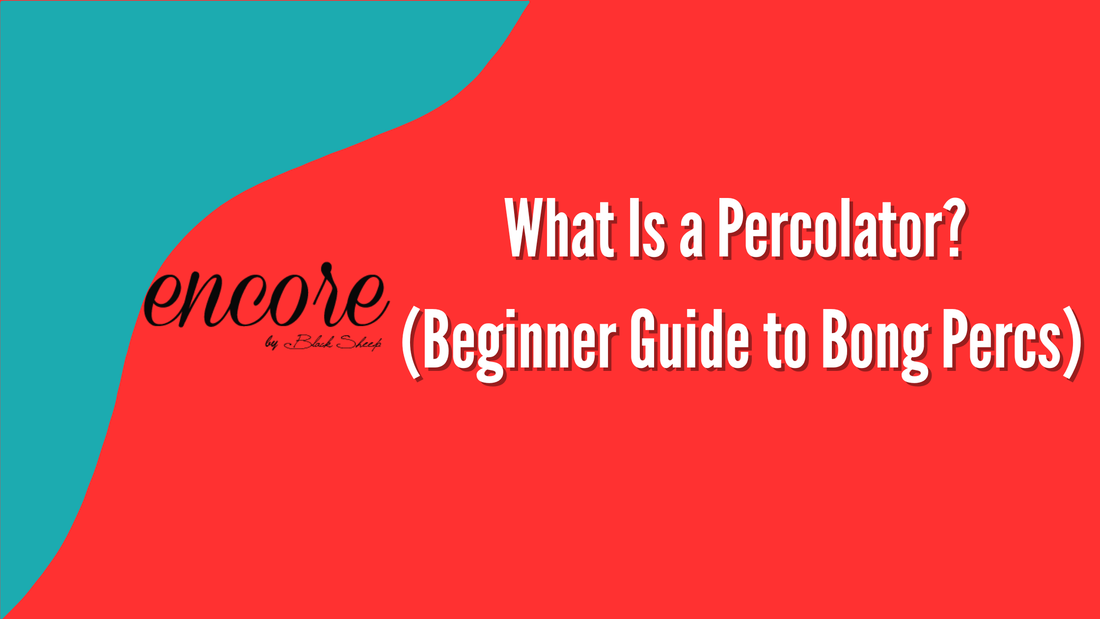 What Is a Percolator? (Beginner Guide to Bong Percs)