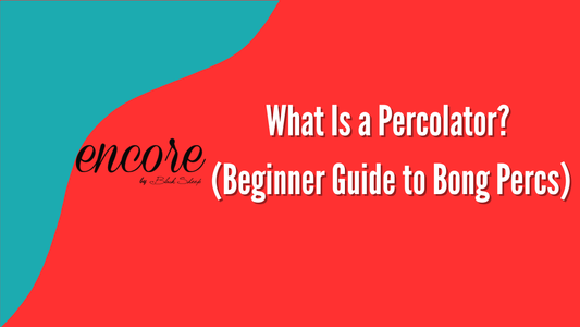 What Is a Percolator? (Beginner Guide to Bong Percs)