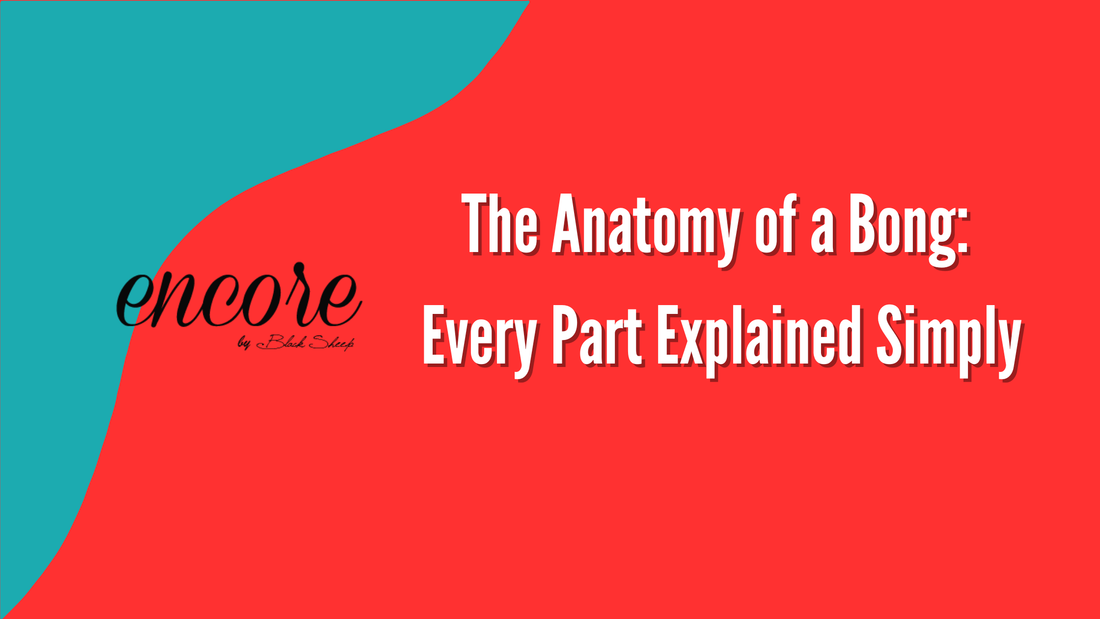 The Anatomy of a Bong: Every Part Explained Simply
