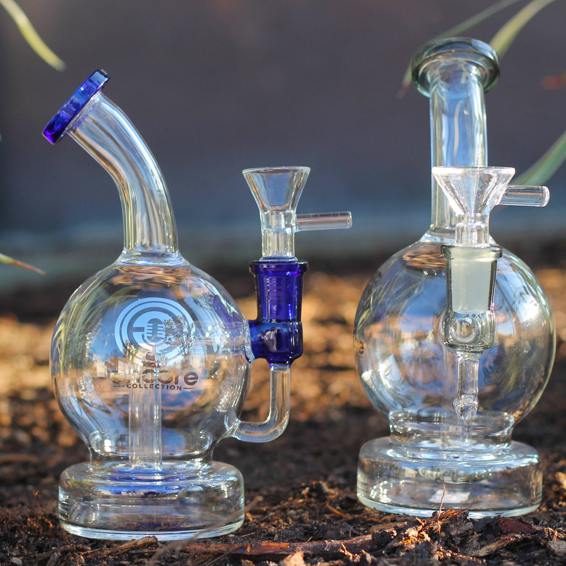 Best Glass Bong and Dab Rig Combos for Every Budget